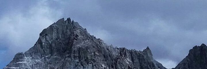 Saraaim_'s profile banner image