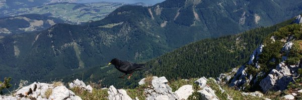 MatthiasKe4595 Profile Banner