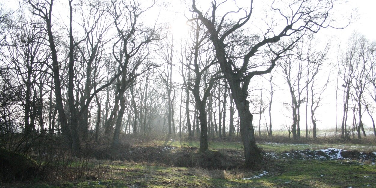 wincook's profile banner image