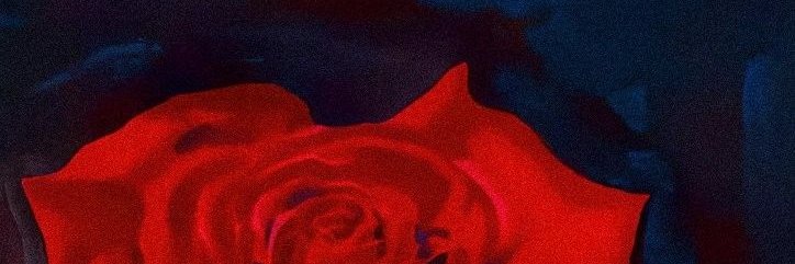 Walter Hesenberg banner
