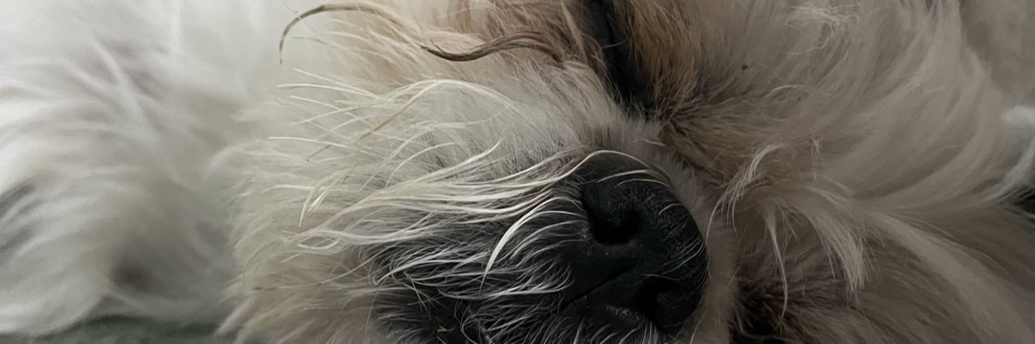 VLersia's profile banner image