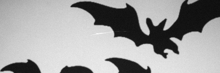 tired'citizen❤️🦅 banner