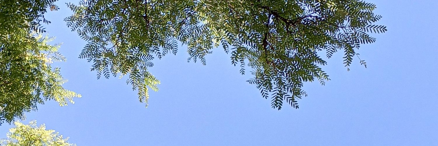 JonathanRuizD_'s profile banner image
