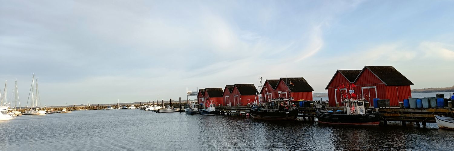 Andrei Chernyshev banner