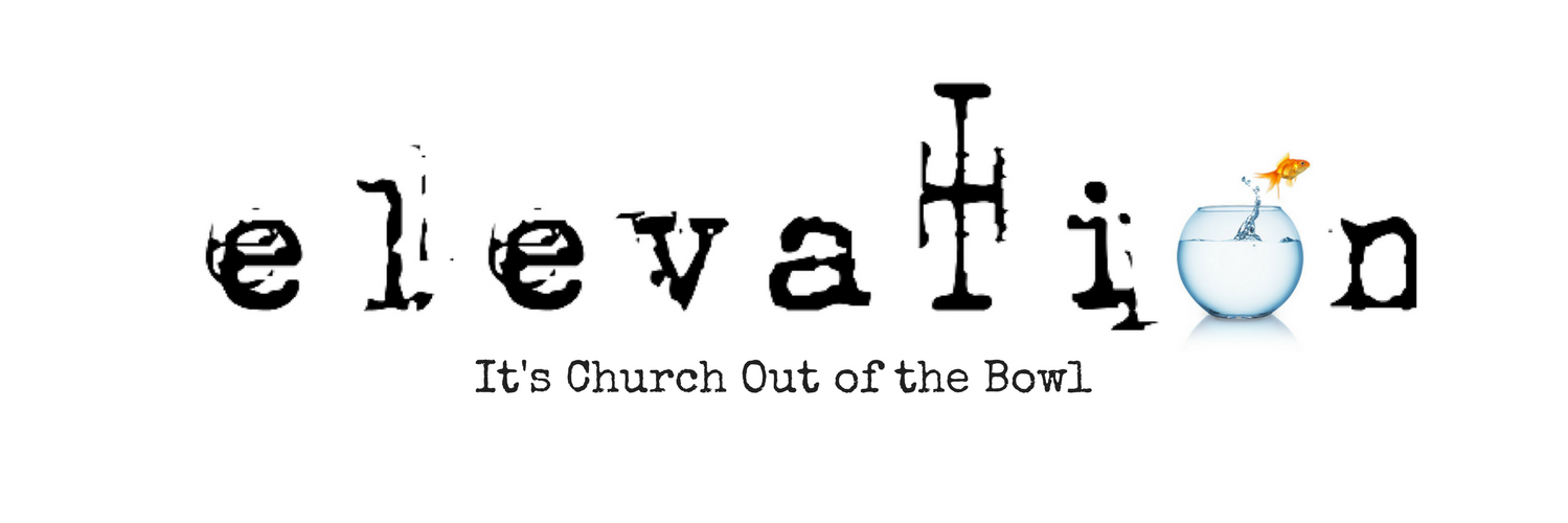 Elevation Santa Cruz banner