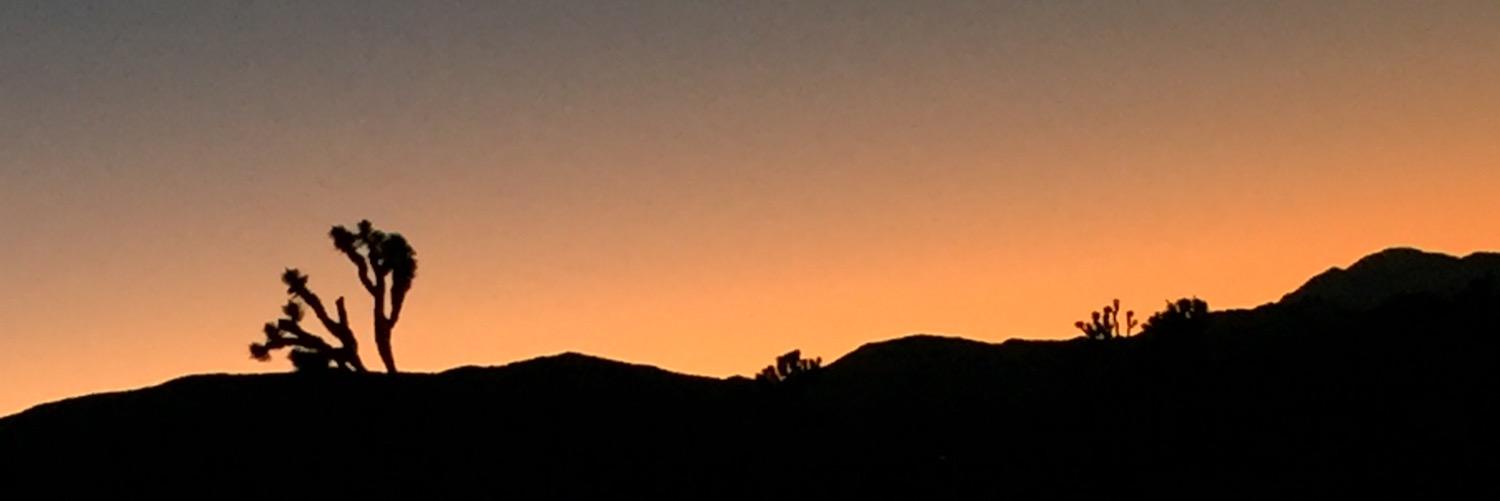 backto_b's profile banner image