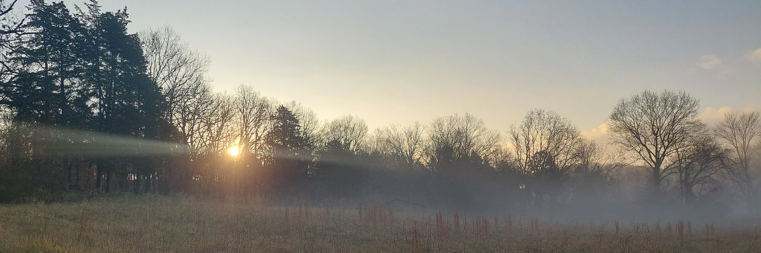 Jenny Fisher Savage banner