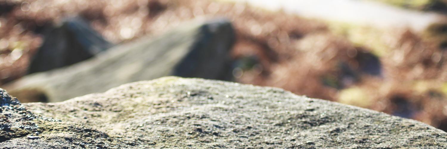 Faberwood_com's profile banner image