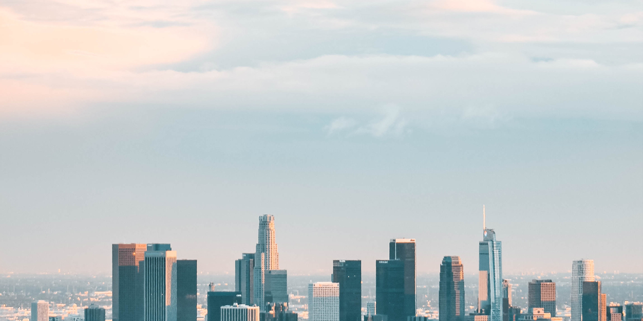 Timea Faulkner banner