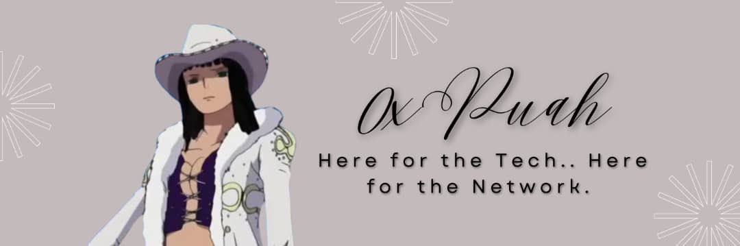 0xPuah banner