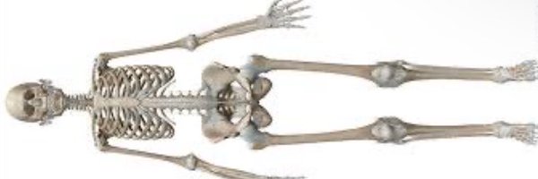 kit_marriott Profile Banner