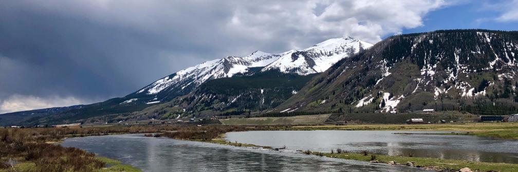 Sean Mitchell banner