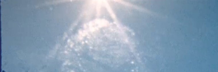 necesea ネセシア @necesea.bsky.social's banner