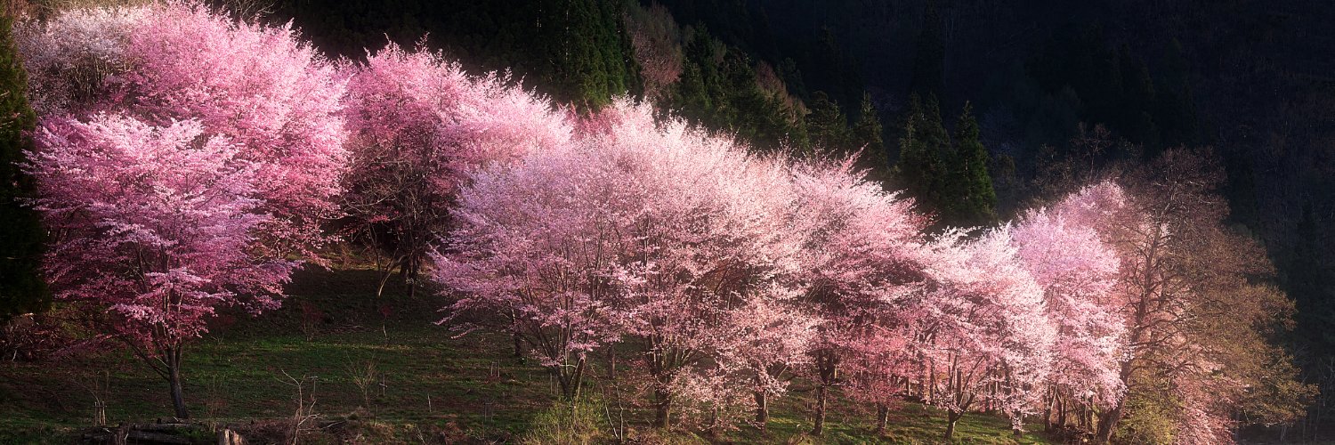 えま@相互フォロー banner