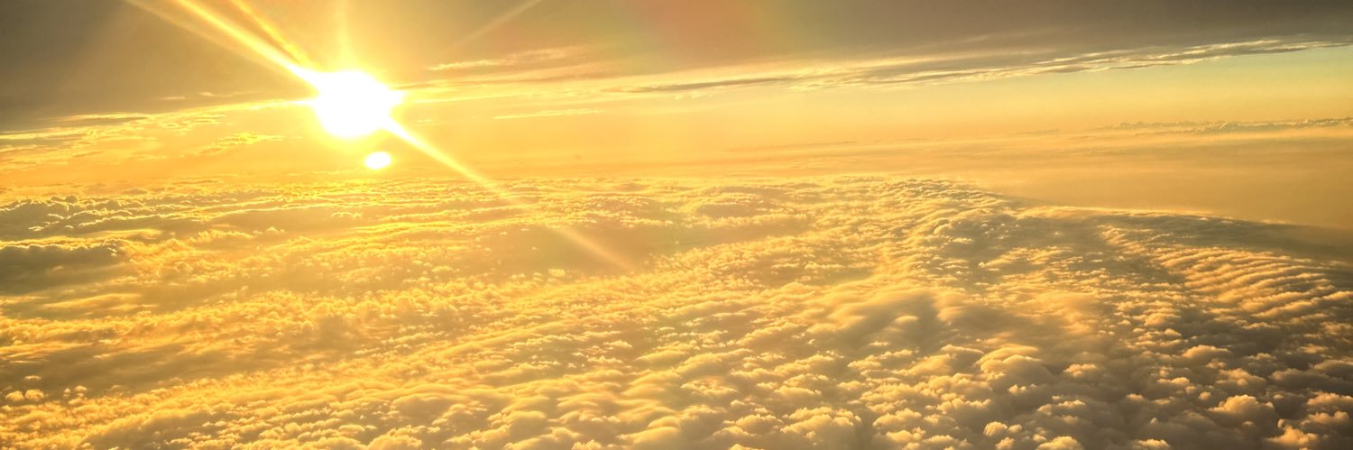 ちむ🐥⸒⸒ banner