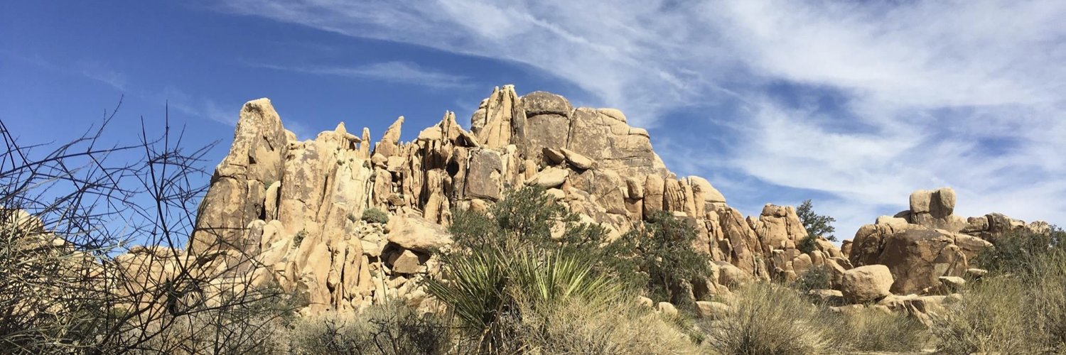 William Porter banner