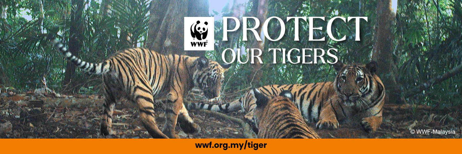 WWFMy's profile banner image