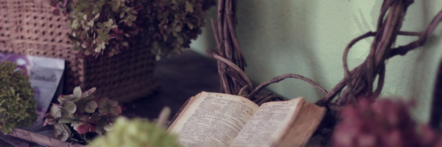 toushaye's profile banner image