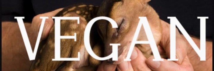 Saveanimalsmove's profile banner image