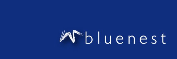 Bluenest banner