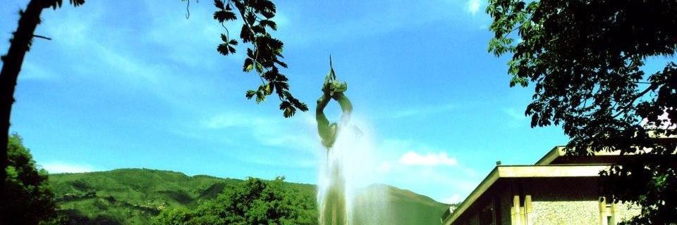 acantiladocae's profile banner image