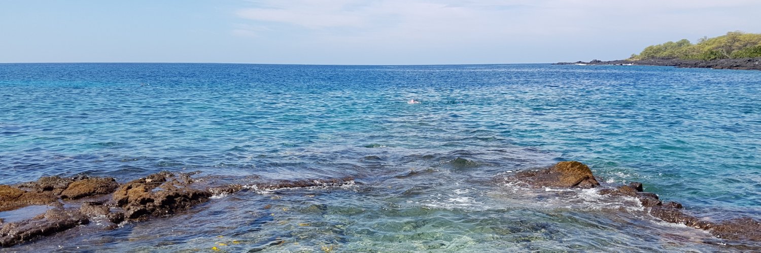 lauracarrie's profile banner image