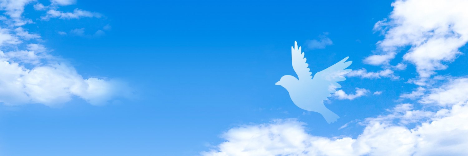 Cielo_動画クリエイター banner
