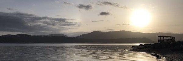 dlevfay Profile Banner