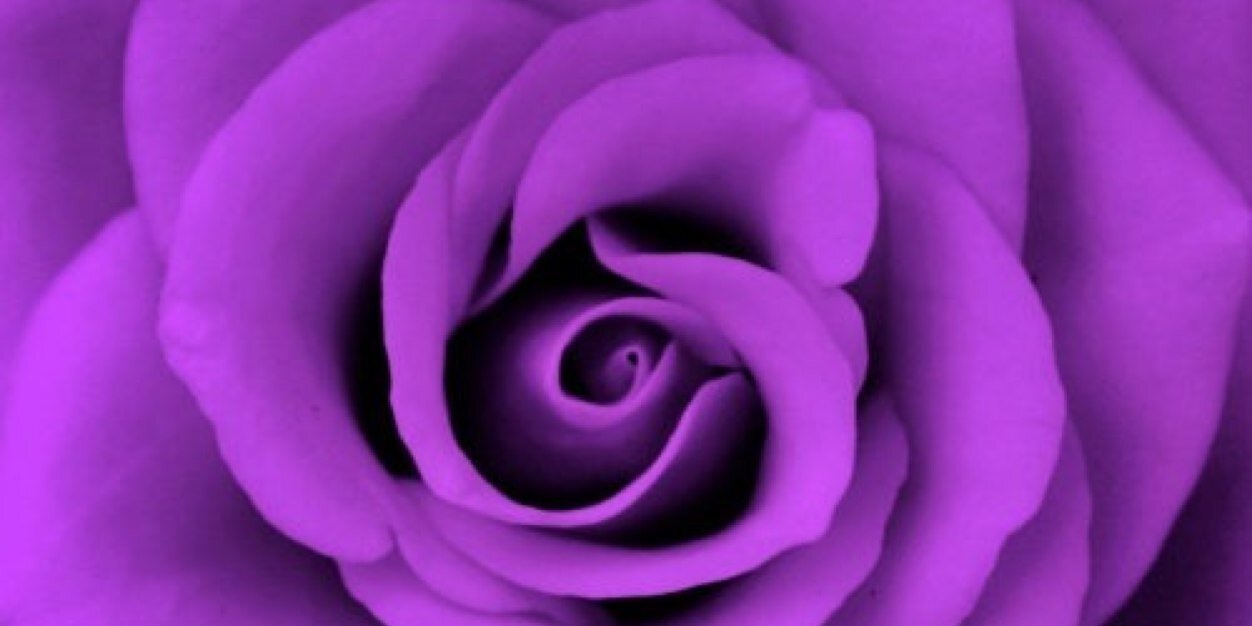 karfitzsmith's profile banner image