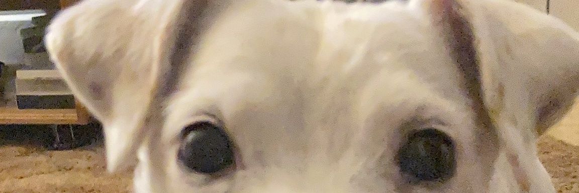 theweave16's profile banner image