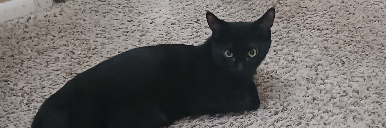 Holly ✝️🇺🇲 banner