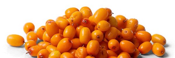Ria4Food Profile Banner