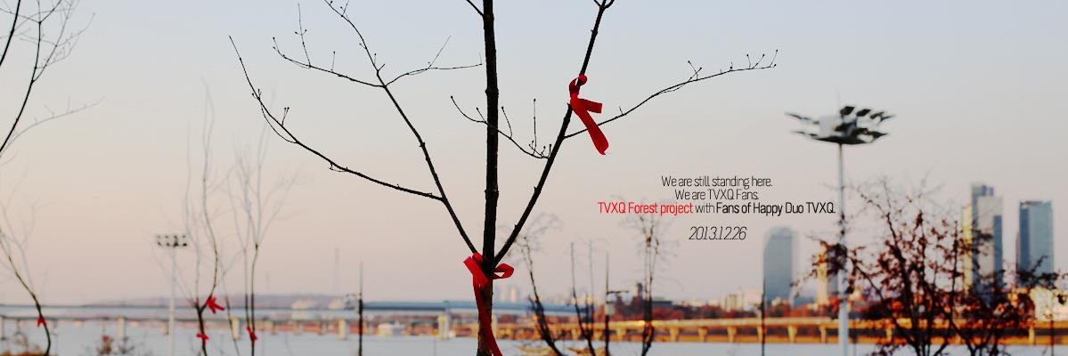 happytvxqtree's profile banner image
