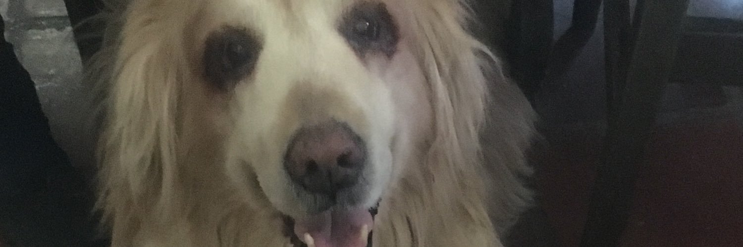 fffffffffff4ri's profile banner image
