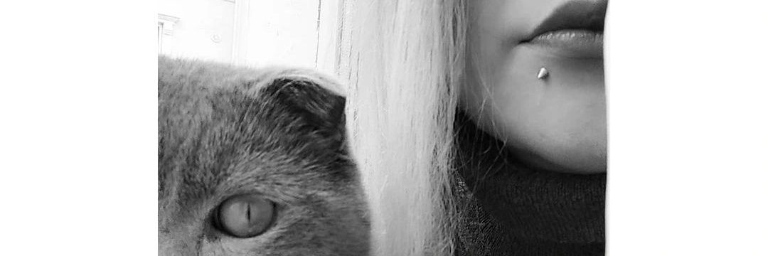 donnasplendore's profile banner image