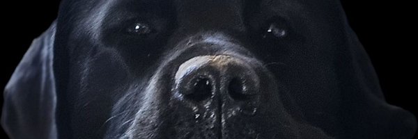 TwistedTexanDFW Profile Banner