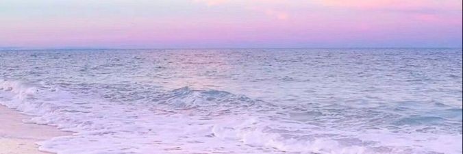 raina. | FIDT STOREִֶָ🦋་༘࿐ banner