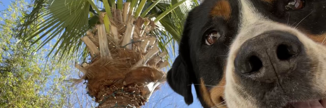 SidneyTison13's profile banner image