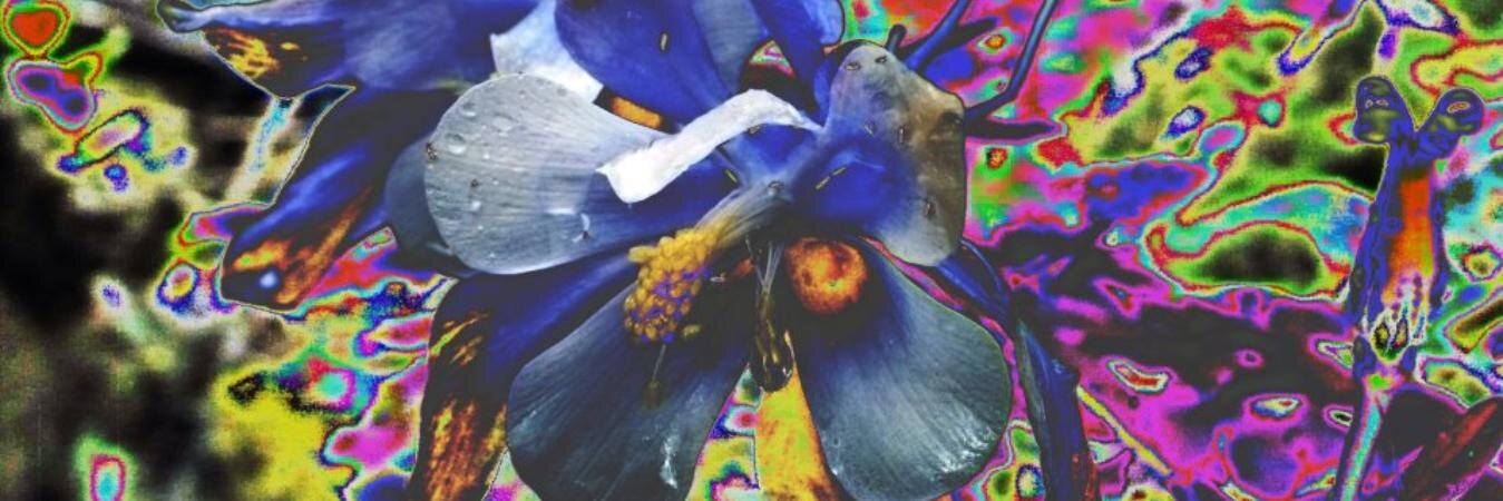 BrightWaves - SkyFly.eth banner