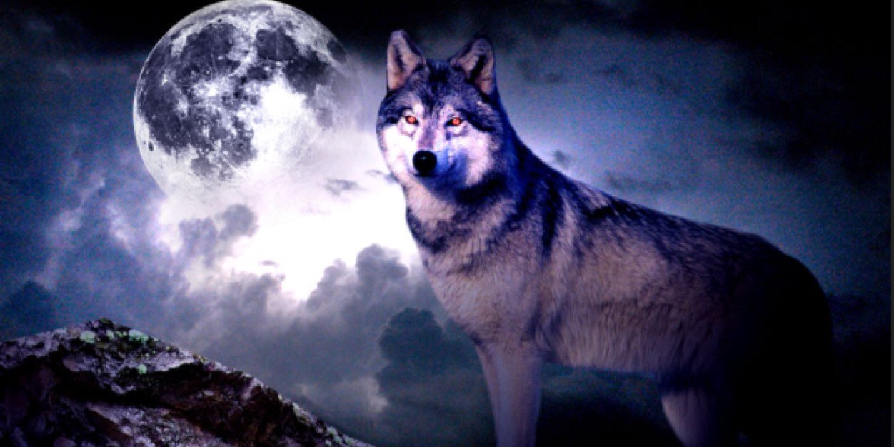 Michael Deeb banner