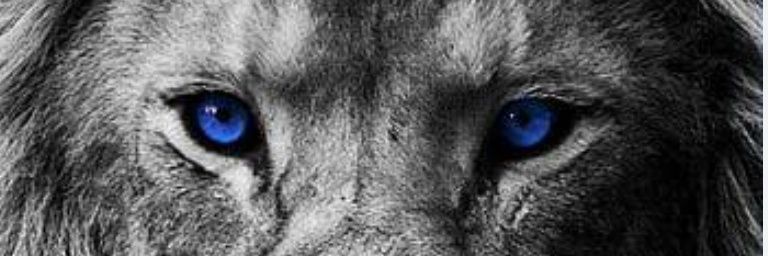mdstudio72's profile banner image