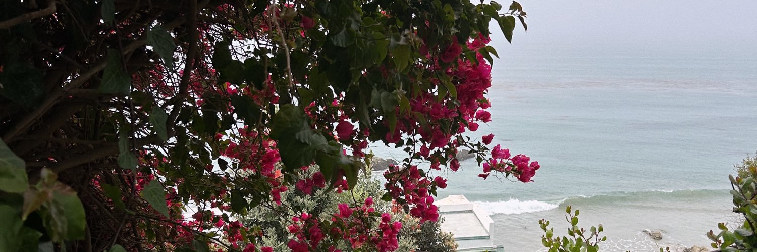 madihwells's profile banner image