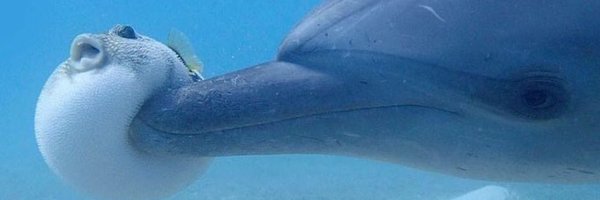 13profen Profile Banner
