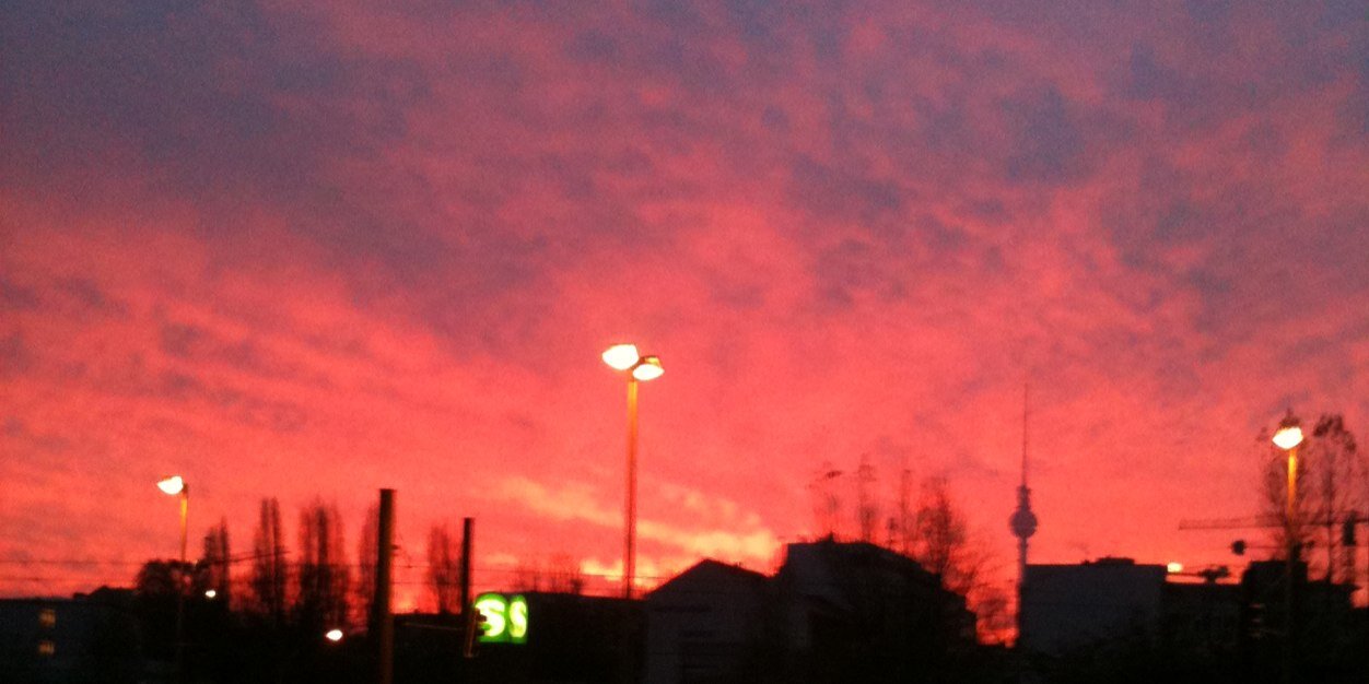 Katharina Mehner banner