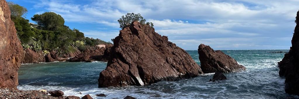 Markus Sandmayr banner