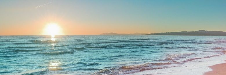 𝘼𝙧𝙨𝙚𝙣𝙞𝙤 banner