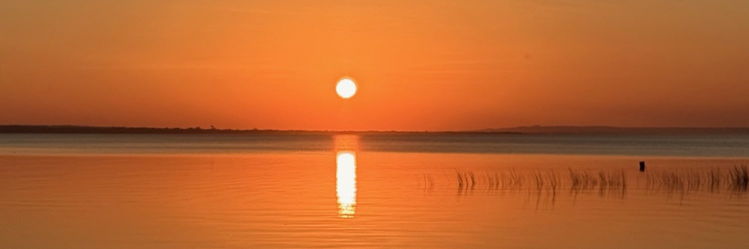 Ginger🌜🌞 banner