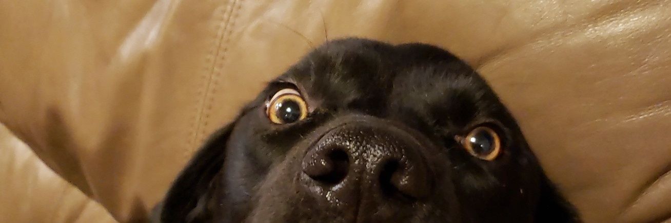 ztryon22's profile banner image