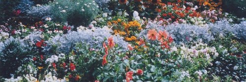 Whit_Dizzy's profile banner image