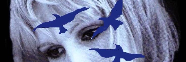 tima banner